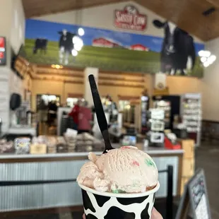 Peppermint ice cream