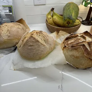 a bunch of sourdoughs