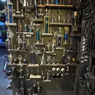 a wall of trophies
