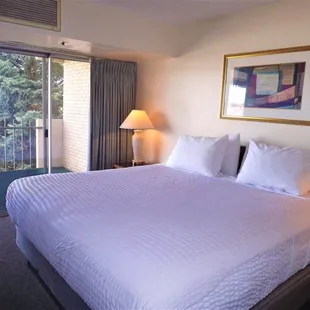 Standard King size suite  bedroom