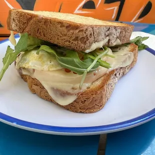 sandwich, sandwiches, food