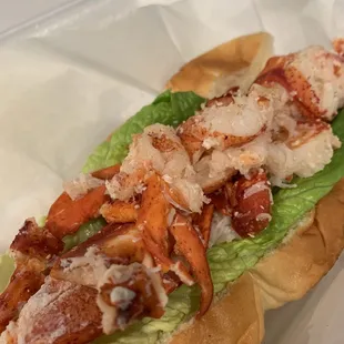 Connecticut lobster roll