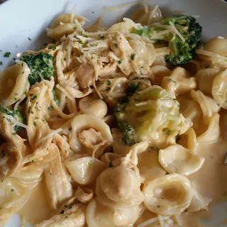 Chicken, Broccoli & Cheese Sauce