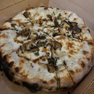 Mi fungi pizza ($19)
