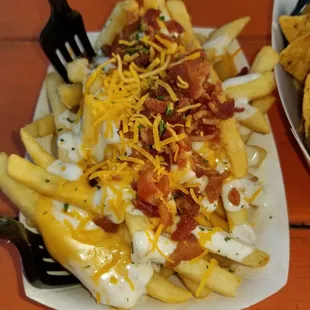 Cheddar bacon fries were AMAZING !!