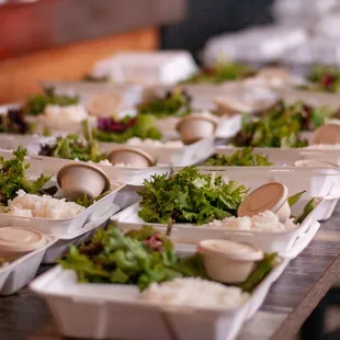 Saucy Oakland Catering - half and full trays available - lunch sets