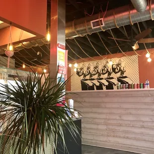 sushi and sashimi, interior