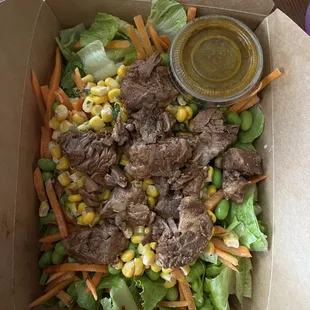 Zen Salad - Ropa Vieja Beef