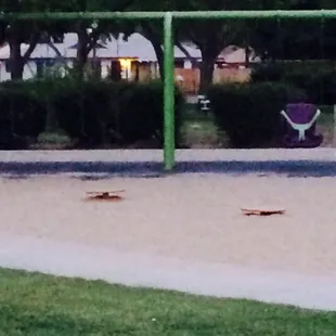 One of two sets of swings