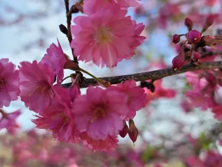 Bernheim Forest and Arboretum