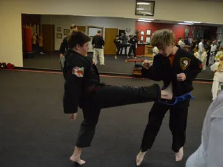 Steiner Academy of Martial Arts Llc