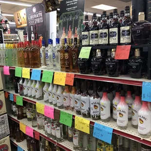 Decent selection of Don Q for a local shop