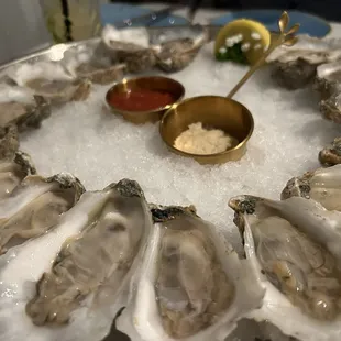 16 excellent oysters