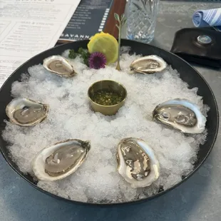 Oysters on the Half Shell