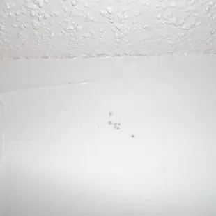 Mold growing on a bathroom wall in apartment 523