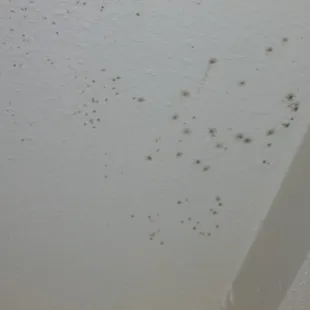 Mold growing under one of the shelves in the bathroom of apartment 523.