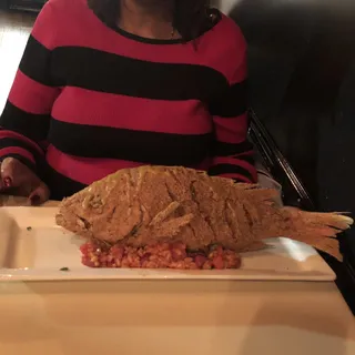 Whole Red Snapper