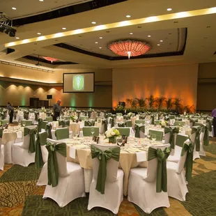 Chair covers and satin green sashes at the Sheraton Waikiki.