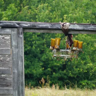 Great picture moments available everywhere you turn.