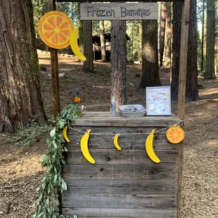 Frozen banana stand setup for cocktail hour