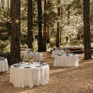 Gorgeous reception set up by Rosie.
