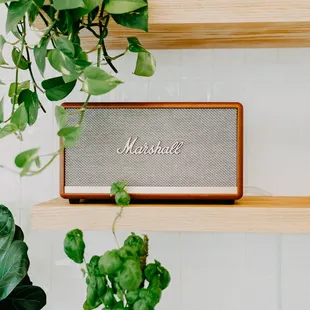 There&apos;s always great tunes playing in our shop!