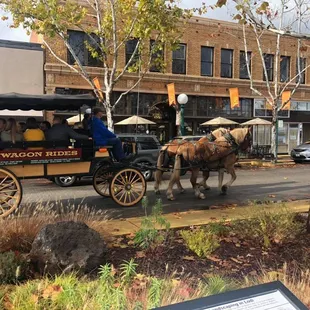 We often have surprises during the our tours.