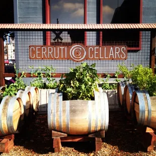 Cerruti Cellars -  one of many urban wineries in Oakland!