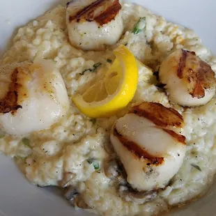 Scallop Risotto
