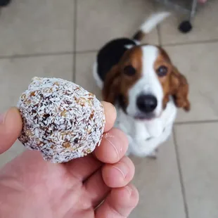 Date ball. Sorry, Hudson.