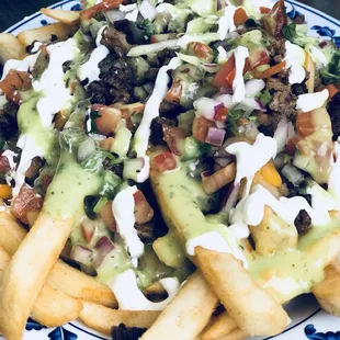 Asada Fries with beef