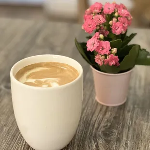 a cup of coffee and a potted plant