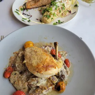 Chicken and salmon