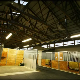 Savoy has several grooming stall and wash stalls with hot and cold water.