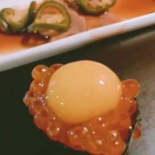 Salmon