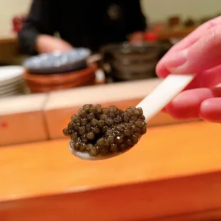 a spoon full of cavia