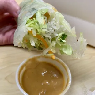a hand holding a salad wrap