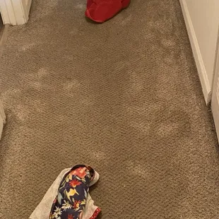Flooding from washer failure. Entire hallway was soaked.