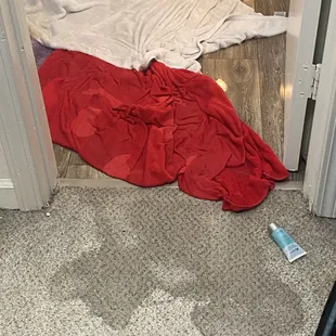 Flooding due to washer failure. Water was pooling and made it into side bedroom