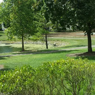 The slime-filled lake. Yuck.