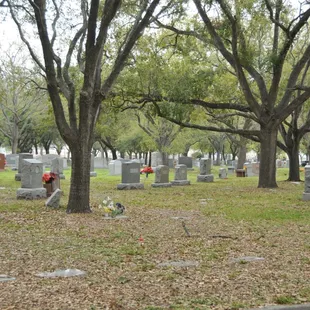 Cemetery Spaces with digging included at Rose Hill for $2,350
