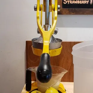 Lemonade squeezer