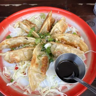 Chicken Dumplings