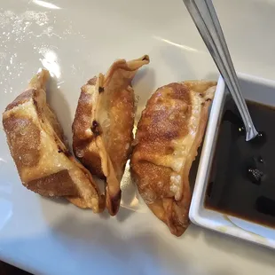 Homemade potsticker