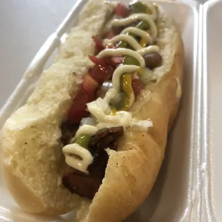 Sonora Dog