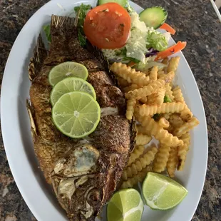 Mojarra