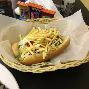 hot dog, food, sandwich, hot dogs