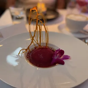 Avocado ice cream w/beet sauce