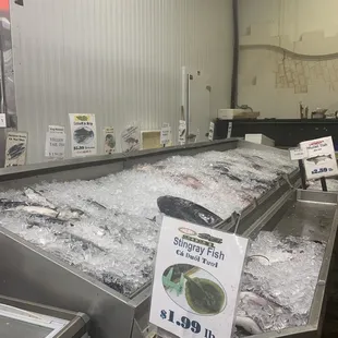 a display of fish on ice