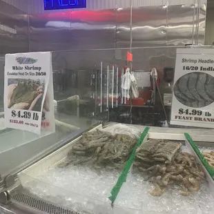 a display of fresh seafood
